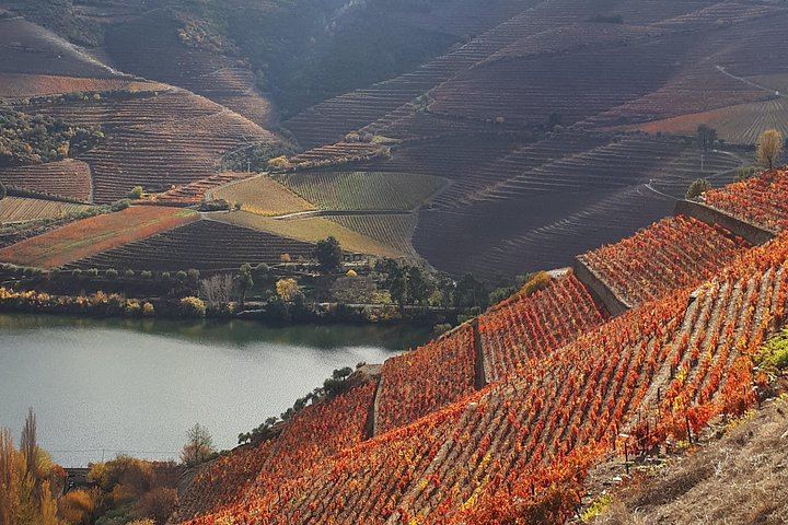 Sommelier-Led Boutique Cellar Visit with Premium Tastings, Sabre Bottle and Rabelo Boat (6/11)