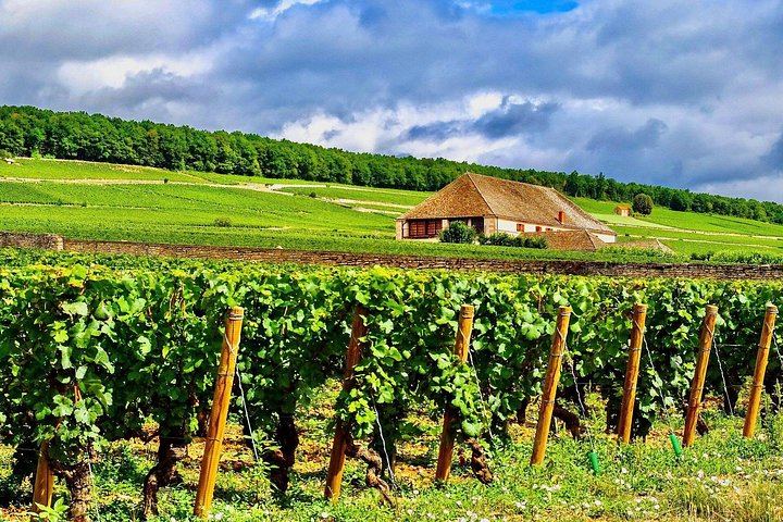 Private Paris to Chablis & Pommard Tour: 3 Guided Visits, 15 Wines, Mercedes Minivan (4/12)