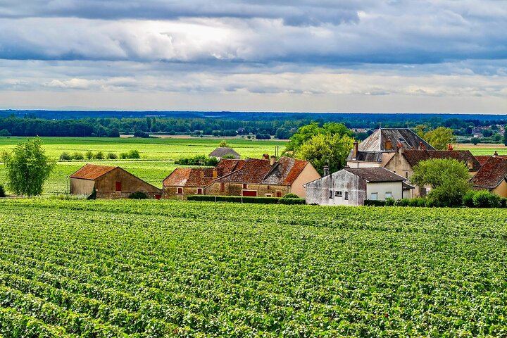 Private Paris to Chablis & Pommard Tour: 3 Guided Visits, 15 Wines, Mercedes Minivan (8/12)