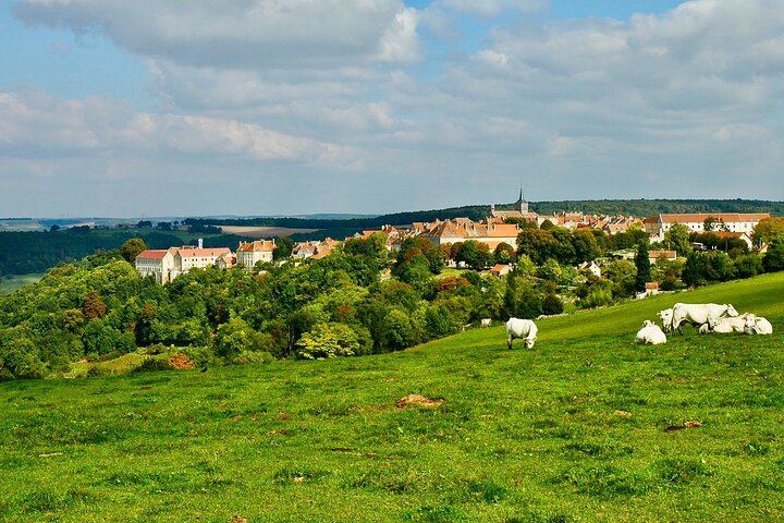 Private Paris to Chablis & Pommard Tour: 3 Guided Visits, 15 Wines, Mercedes Minivan (6/12)