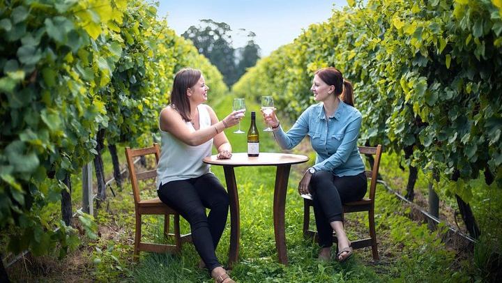 Half-Day Wine Tour from Picton: Three or Four Wineries, Pickup Included (3/5)