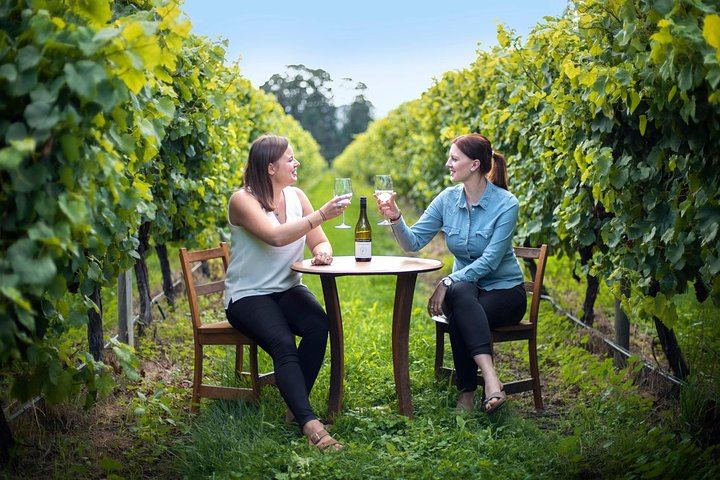 Half-Day Wine Tour from Picton: Three or Four Wineries, Pickup Included (3/5)