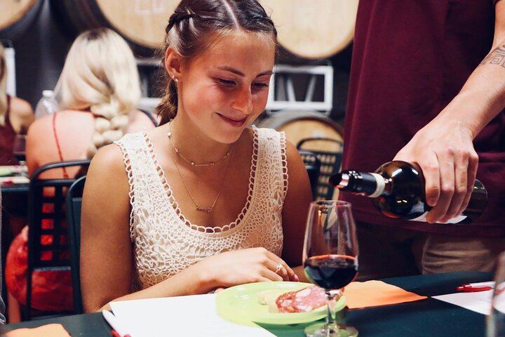 Afternoon Chianti Wine Tasting by Coach from Florence: 2 Family Wineries, Panoramic Views (7/7)