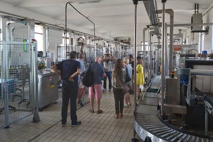 Small-Group Day from Taormina: Castiglione di Sicilia and Two Etna Wineries with Lunch (7/7)