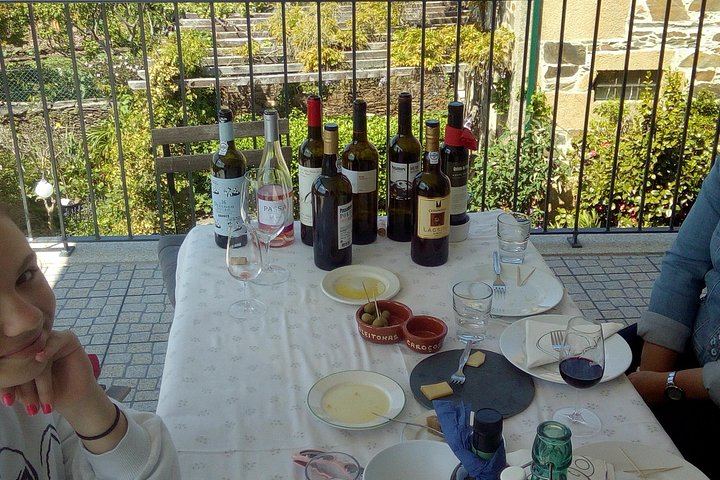 Private Douro Valley Port Wine Tour with Pinhao Tasting, Viewpoints and Tavern Lunch (1/12)