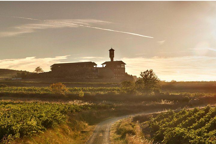 Rioja Wine Day from San Sebastian: Hotel Pick-Up, Two Wineries, Laguardia Lunch (4/12)