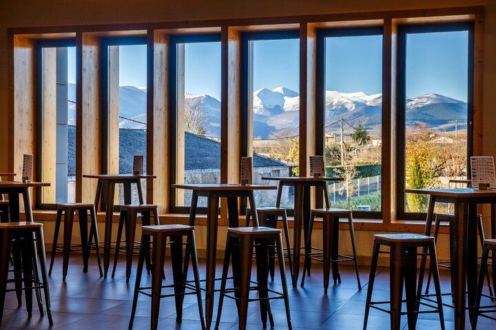 Badarán Family Winery Visit with Four-Wine Tasting and Riojan Appetizer (7/8)
