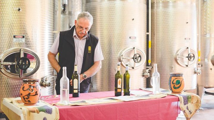 Small-Group Hunter Valley Wine and Cheese Day Tour from Sydney, Pokolbin Boutique Wineries (1/12)
