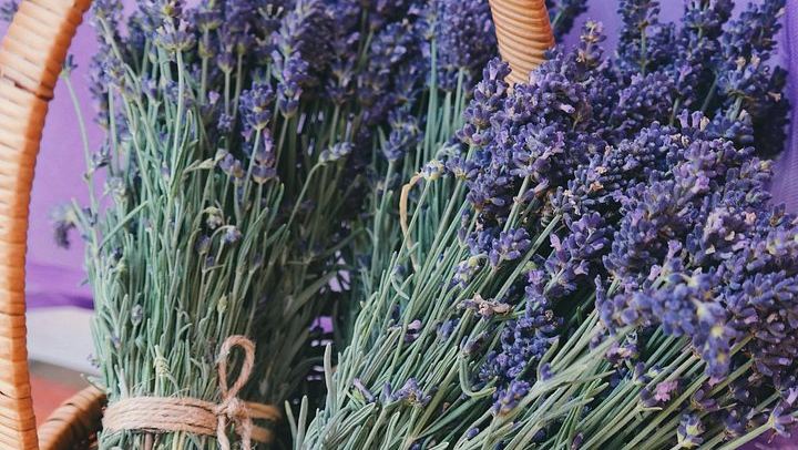 Niagara Afternoon Wine Tour: 3 Wineries and a Lavender Farm with Boutique (2/5)