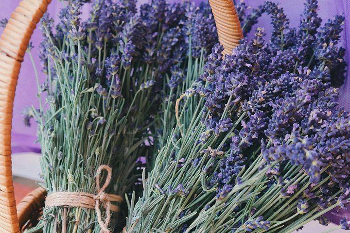 Niagara Afternoon Wine Tour: 3 Wineries and a Lavender Farm with Boutique (2/5)
