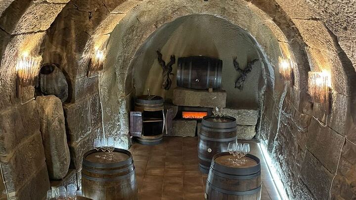 Calado El Guallavero Wine Tasting with Family Wines and Snack, Laguardia (3/3)