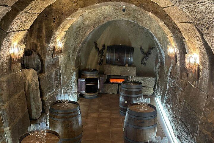 Calado El Guallavero Wine Tasting with Family Wines and Snack, Laguardia (3/3)