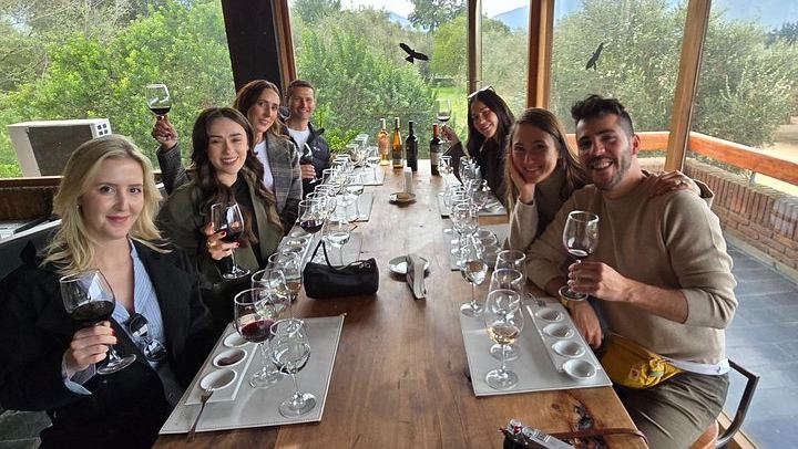 Small-Group Valparaiso Hills Walk with Veramonte Organic and Viñamar Wine Tastings (2/5)
