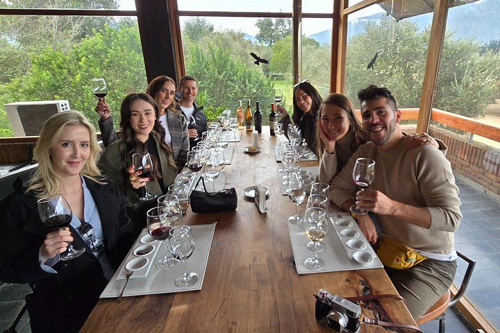 Small-Group Valparaiso Hills Walk with Veramonte Organic and Viñamar Wine Tastings (2/5)