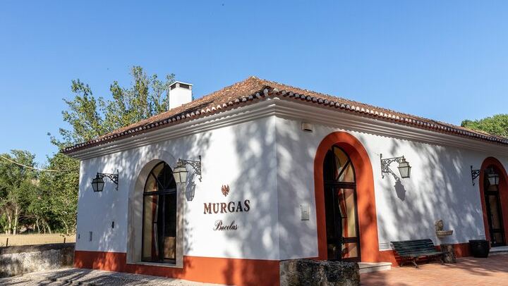 Wine Tasting at Quinta das Murgas in Bucelas, Meeting at the Estate Entrance (2/7)