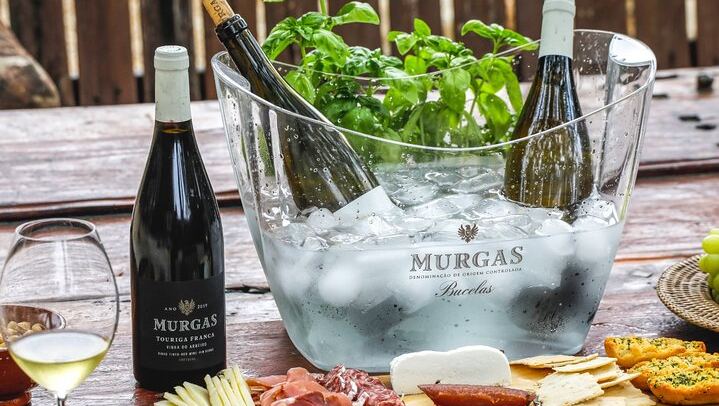 Wine Tasting at Quinta das Murgas in Bucelas, Meeting at the Estate Entrance (1/7)
