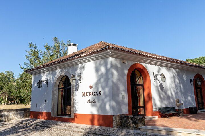 Wine Tasting at Quinta das Murgas in Bucelas, Meeting at the Estate Entrance (2/7)