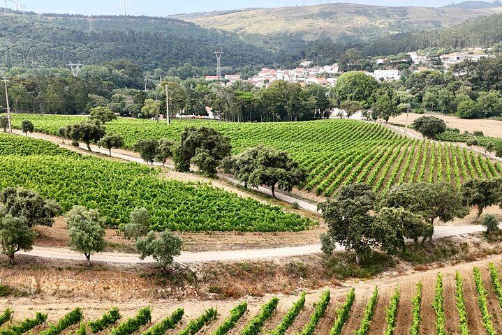 Wine Tasting at Quinta das Murgas in Bucelas, Meeting at the Estate Entrance (7/7)