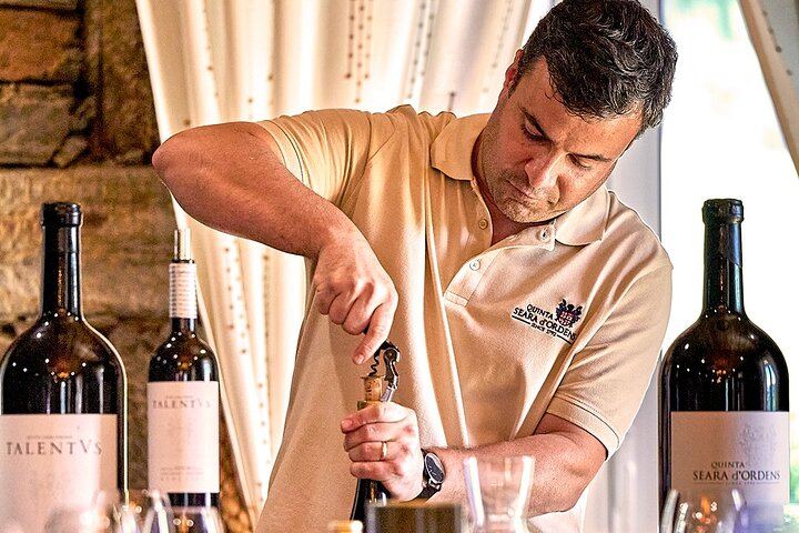 Sustainable Douro Valley Day Trip from Porto with Three-Course Lunch and Winery Tasting (7/9)
