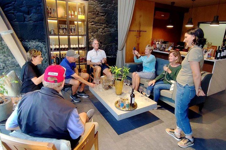 Porto Small-Group Port and Douro Wine Tour in Gaia: Three Lodges, Nine Tastings (7/12)