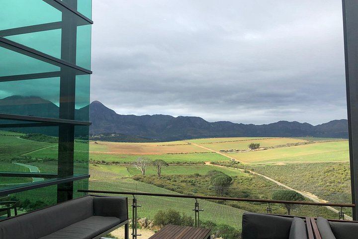 Stellenbosch Boutique Wine Farms Tour: Three Estates, Contemporary Architecture, Pairings (5/9)