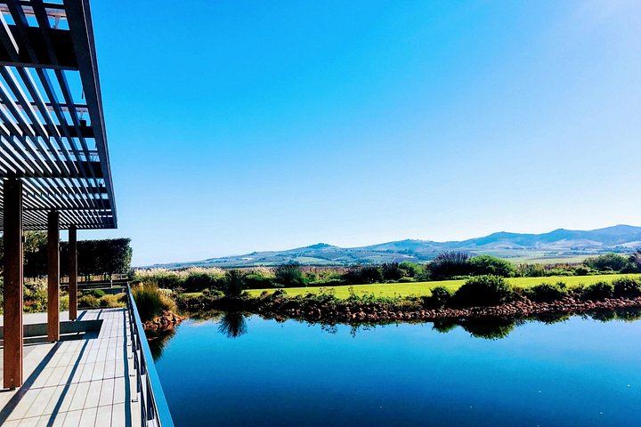 Stellenbosch Boutique Wine Farms Tour: Three Estates, Contemporary Architecture, Pairings (6/9)