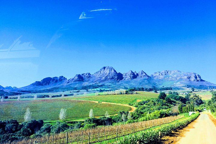 Stellenbosch Boutique Wine Farms Tour: Three Estates, Contemporary Architecture, Pairings (7/9)