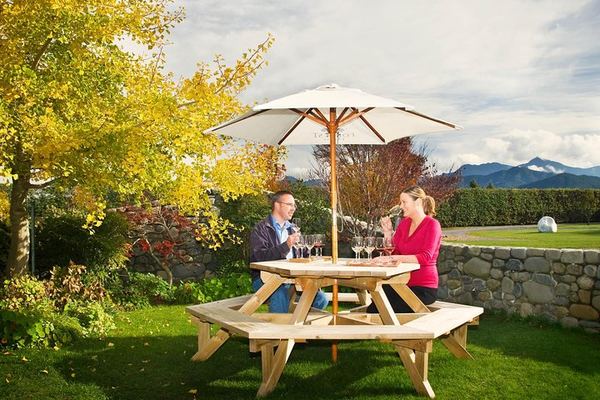 Afternoon Half-Day Wine Tour from Blenheim: 3 to 4 Wineries, No Lunch Stop