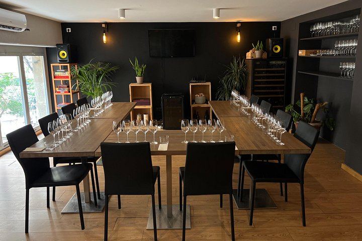 Barcelona Wine Tasting Session on Carrer de l'Arc de Sant Ramon del Call (5/6)
