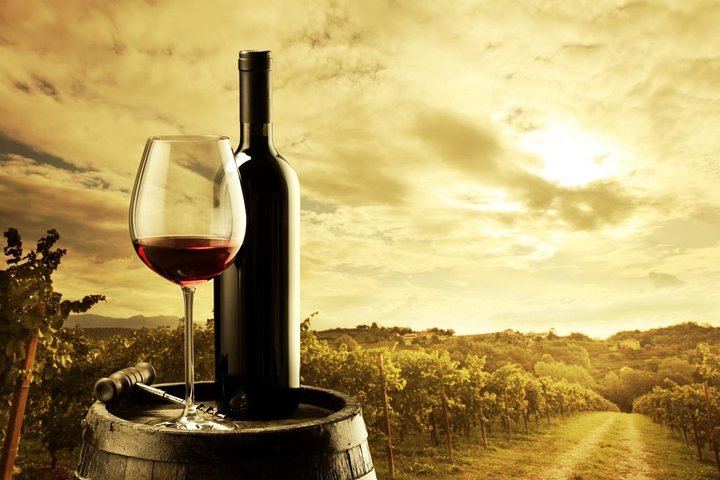 Barossa Valley Small-Group Cellar Door Day Tour with Lunch from Adelaide (1/5)