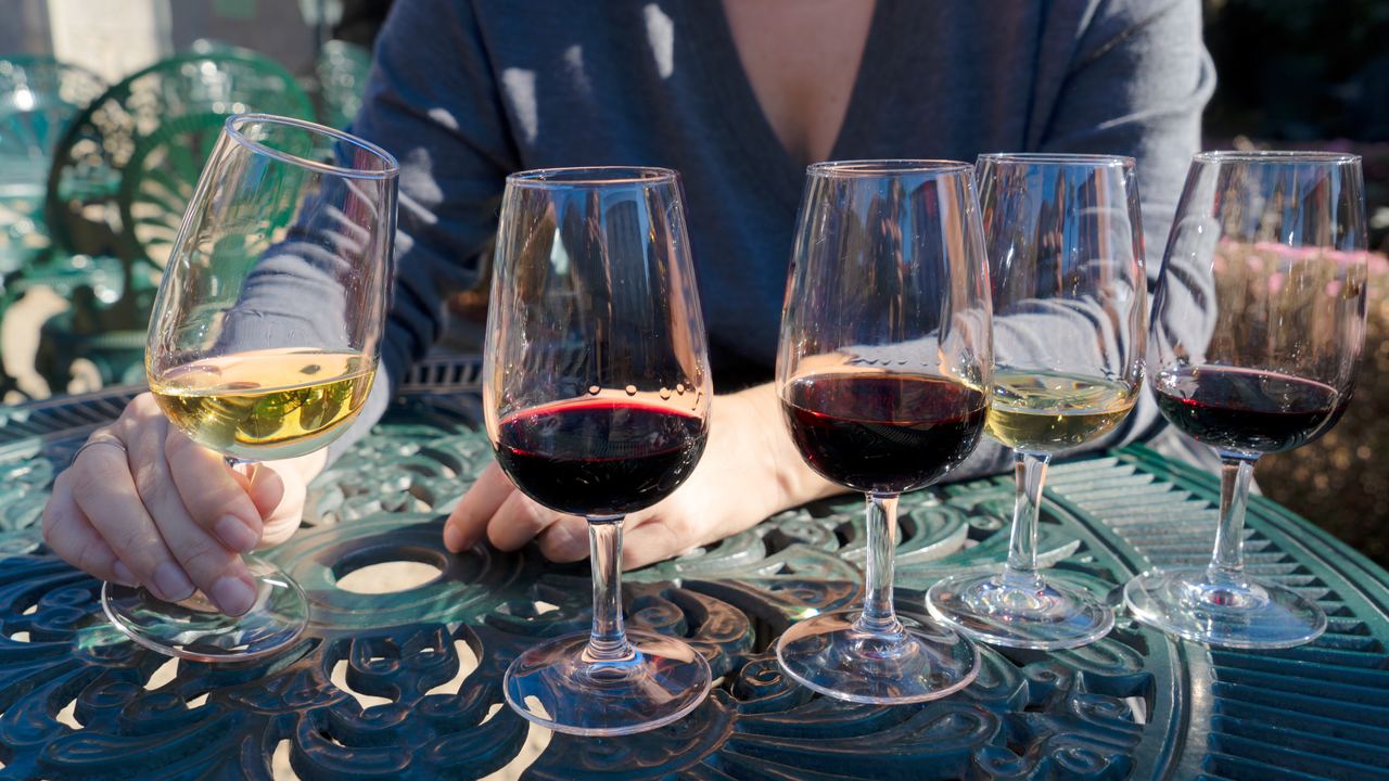 Flight of five wine glasses, red and white, lined up on an outdoor table for a tasting