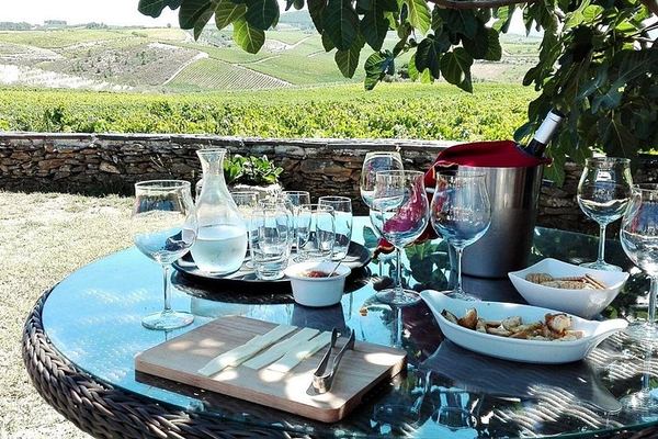 Private Douro Valley Tour Built Your Way: Choose Estates, Lunch, Boat and Family Add-Ons