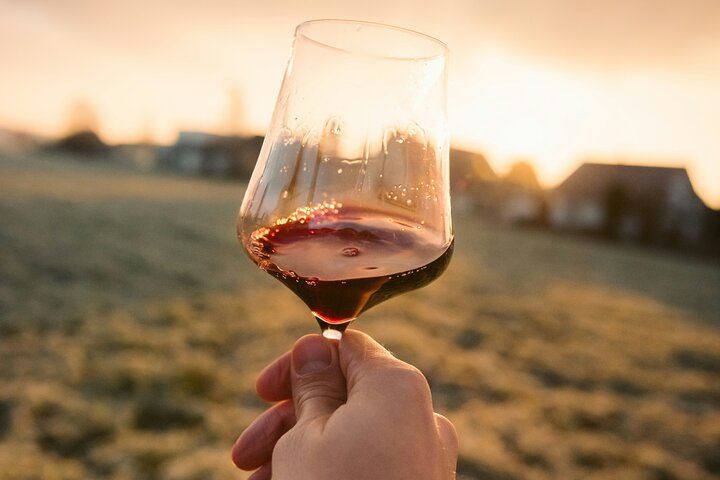 Dijon Full-Day Wine Tour: Three Tastings in the Côte de Nuits and Côte de Beaune (5/8)
