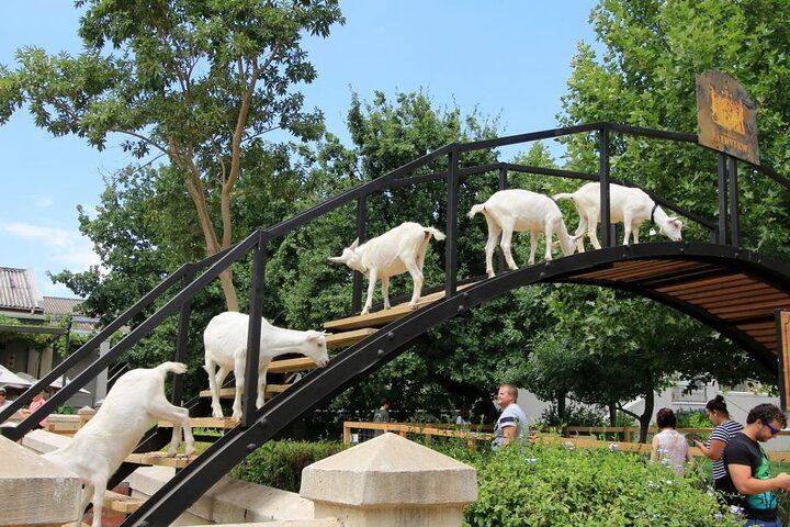 Private Cape Winelands Tour with Franschhoek Wine Tram, Langa and Mandela Site (2/12)