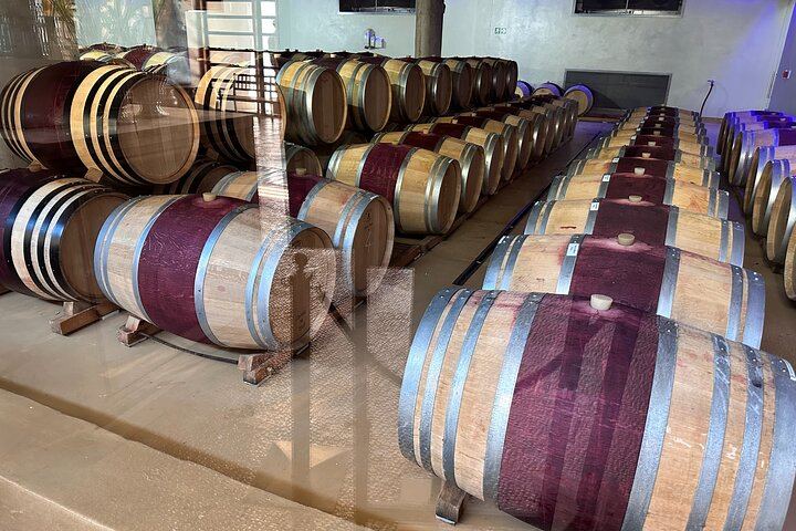 Private Cape Winelands Tour with Franschhoek Wine Tram, Langa and Mandela Site (9/12)