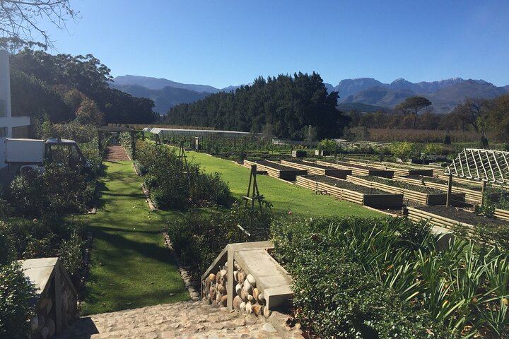 Private Cape Winelands Tour with Franschhoek Wine Tram, Langa and Mandela Site (10/12)
