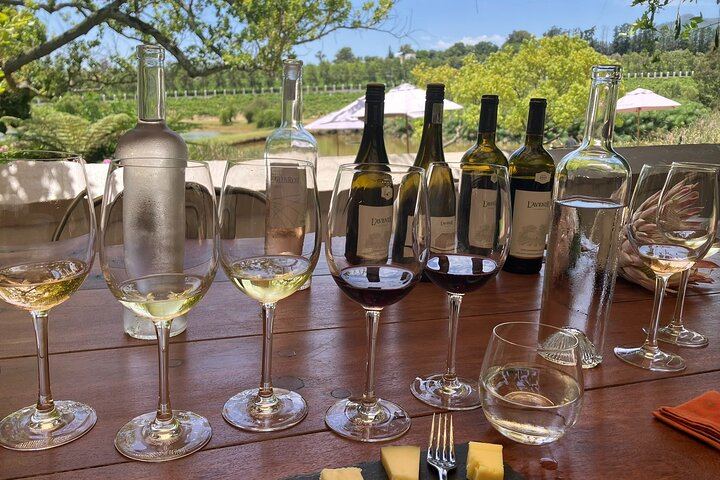 Private Cape Winelands Tour with Franschhoek Wine Tram, Langa and Mandela Site (11/12)