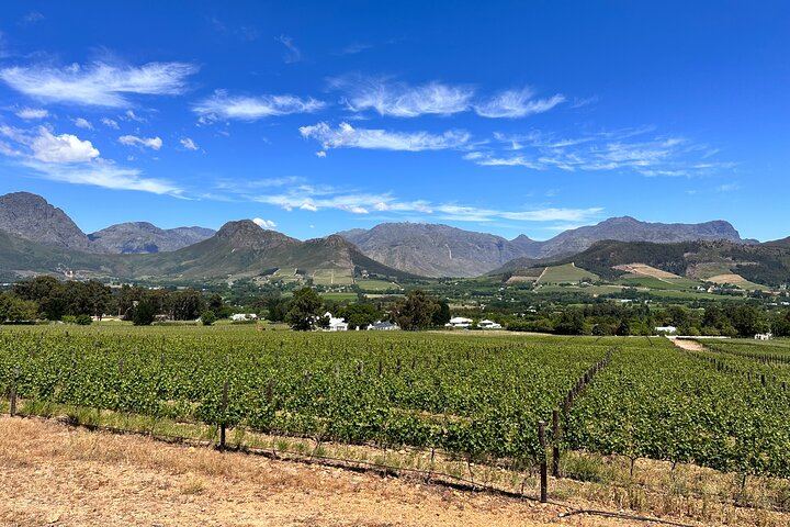 Private Cape Winelands Tour with Franschhoek Wine Tram, Langa and Mandela Site (6/12)