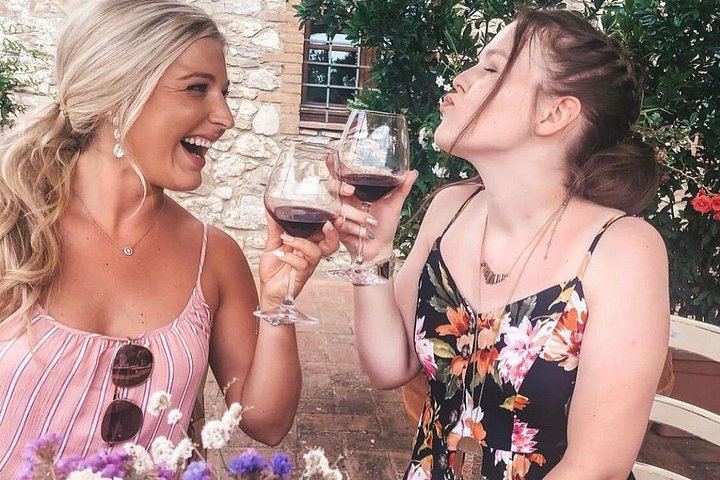 Private Siena and Chianti Day Trip from Florence by Mercedes Minivan, 8 Hours (7/12)