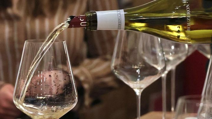 Chardonnay Masterclass in Dijon: Four-Wine Tasting Workshop from Village to Grand Cru (3/7)