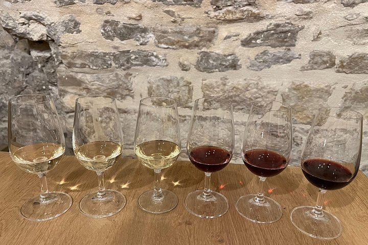 Cheese and Wine Pairing Session in a Dijon Vaulted Cellar: One Hour, Groups Under Six (6/7)