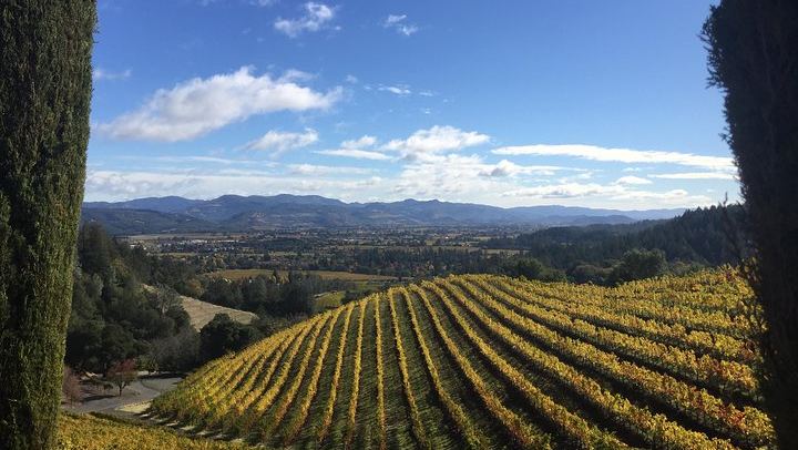 Private 6-Hour Napa Valley Wine Tour by Premium SUV for Up to 6 Guests (1/12)