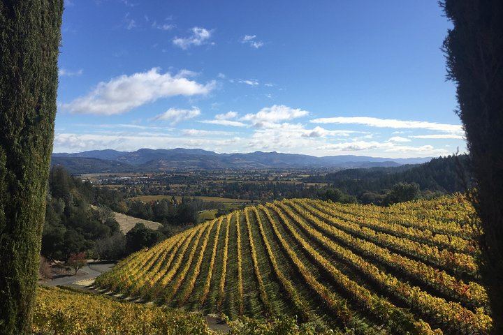 Private 6-Hour Napa Valley Wine Tour by Premium SUV for Up to 6 Guests (1/12)