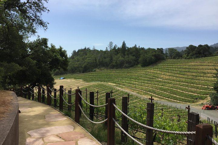 Private 6-Hour Napa Valley Wine Tour by Premium SUV for Up to 6 Guests (7/12)