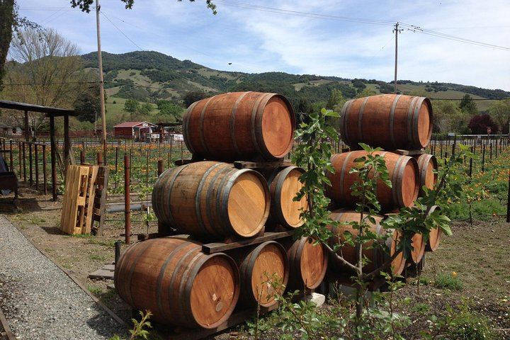Private 6-Hour Napa Valley Wine Tour by Premium SUV for Up to 6 Guests (9/12)