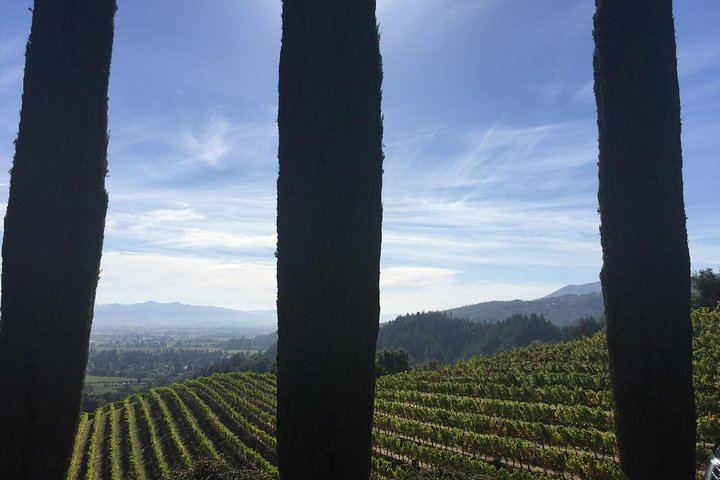 Private 6-Hour Napa Valley Wine Tour by Premium SUV for Up to 6 Guests (6/12)