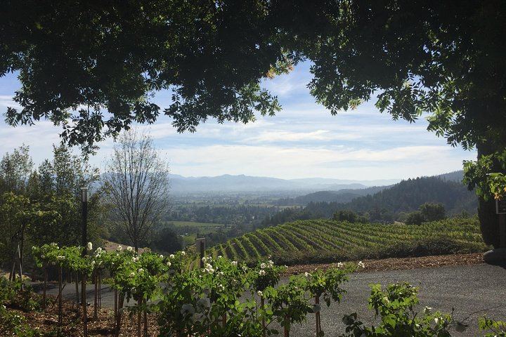 Private 6-Hour Napa Valley Wine Tour by Premium SUV for Up to 6 Guests (5/12)