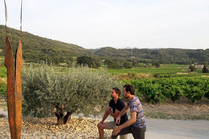 Family Estate Wine Tasting in Sablet: 15 Hectares in Gigondas and Sablet, Four Generations (2/7)