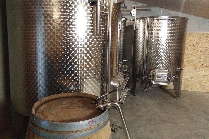 Family Estate Wine Tasting in Sablet: 15 Hectares in Gigondas and Sablet, Four Generations (3/7)