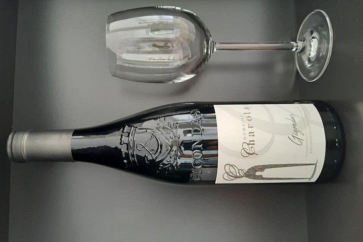 Family Estate Wine Tasting in Sablet: 15 Hectares in Gigondas and Sablet, Four Generations (5/7)
